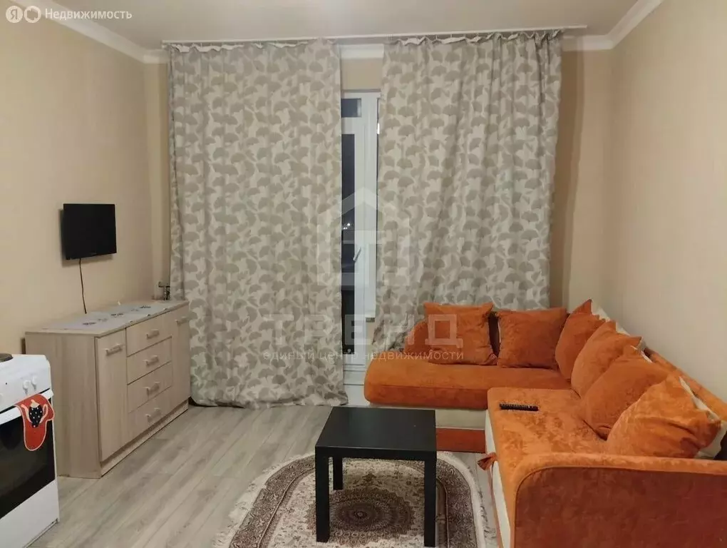 Квартира-студия: Санкт-Петербург, Русановская улица, 20к3 (26 м) - Фото 2