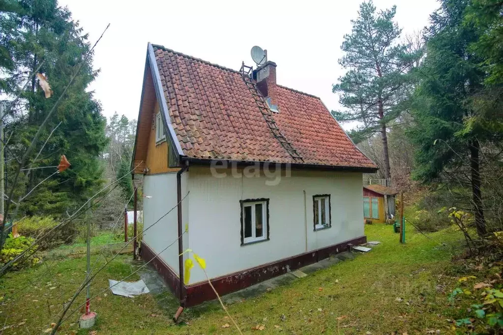 Дом в Калининградская область, Светлогорск Песочная ул., 6 (40 м) - Фото 0