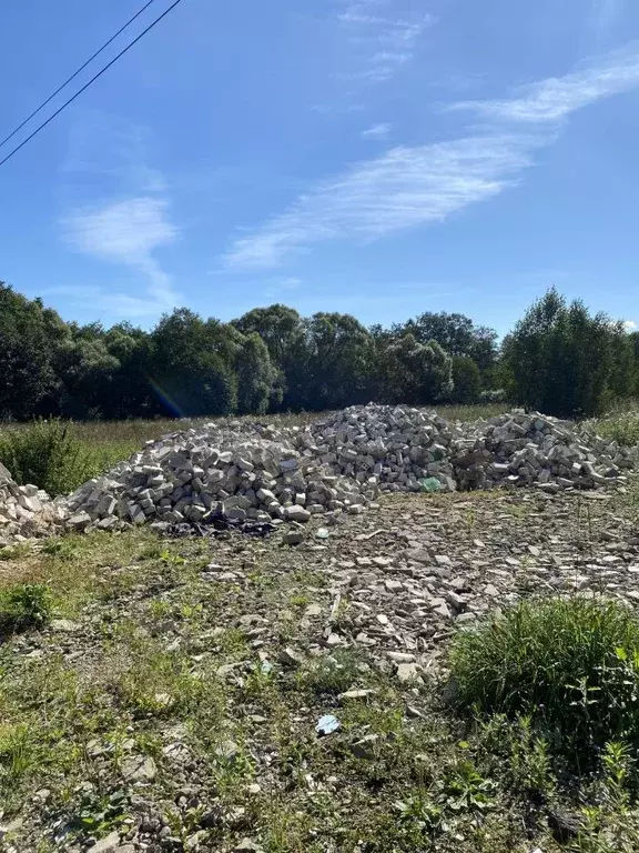 Участок в Владимирская область, Александровский район, Андреевское ... - Фото 1
