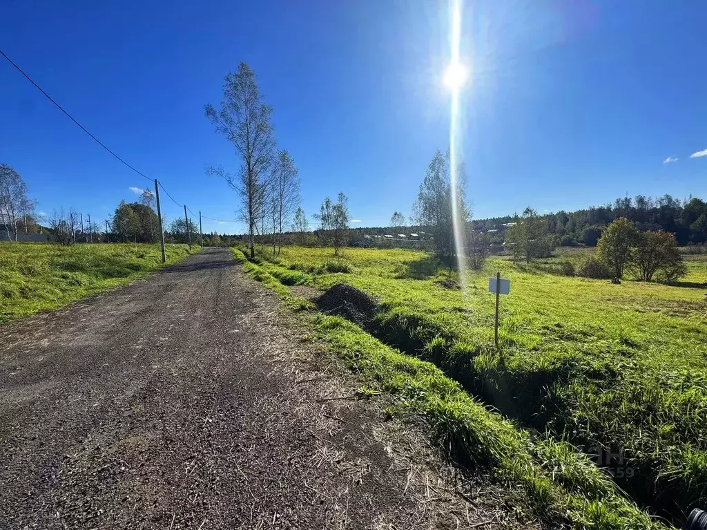 Участок в Московская область, Дмитровский муниципальный округ, Форест ... - Фото 2