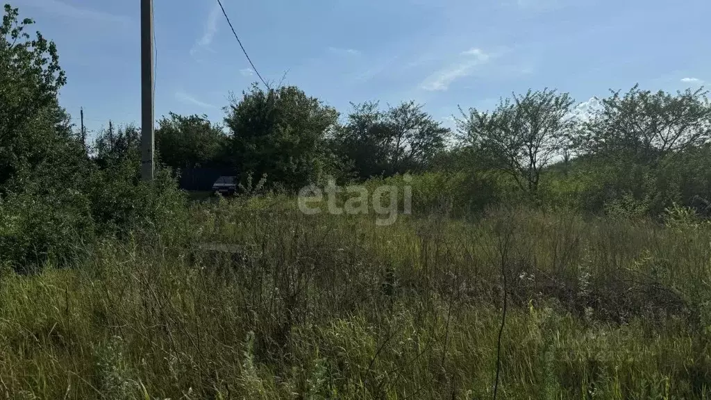 Участок в Белгородская область, Белгородский район, Веселолопанское ... - Фото 1