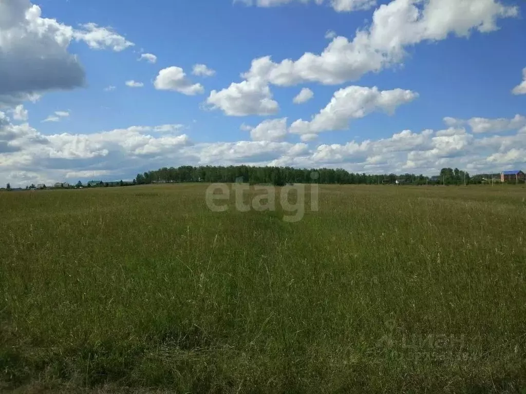Участок в Красноярский край, Емельяновский муниципальный округ, пос. ... - Фото 2