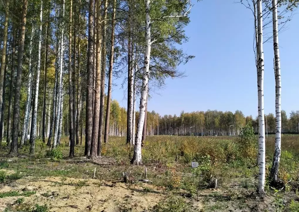 Участок в Свердловская область, Сысертский городской округ, пос. ... - Фото 1