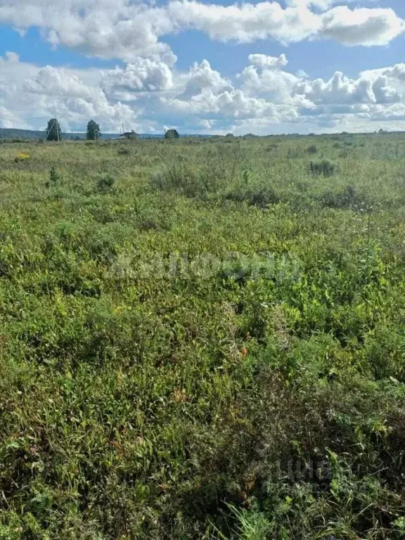 Участок в Томская область, Томский район, Стрижи СНТ ул. Магистральная ... - Фото 1