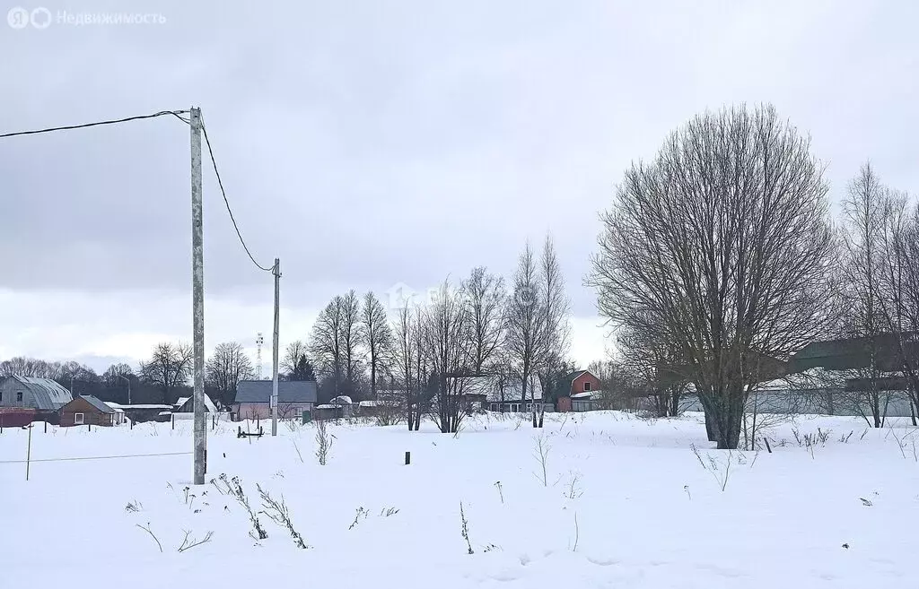 Участок в Калужская область, Жуковский муниципальный округ, деревня ... - Фото 2