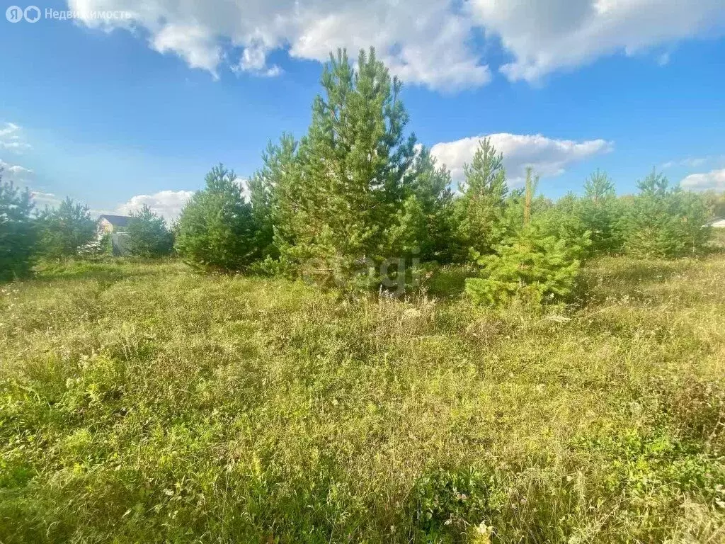 Участок в село Большие Харлуши, коттеджный посёлок Новые Харлуши (630 ... - Фото 0