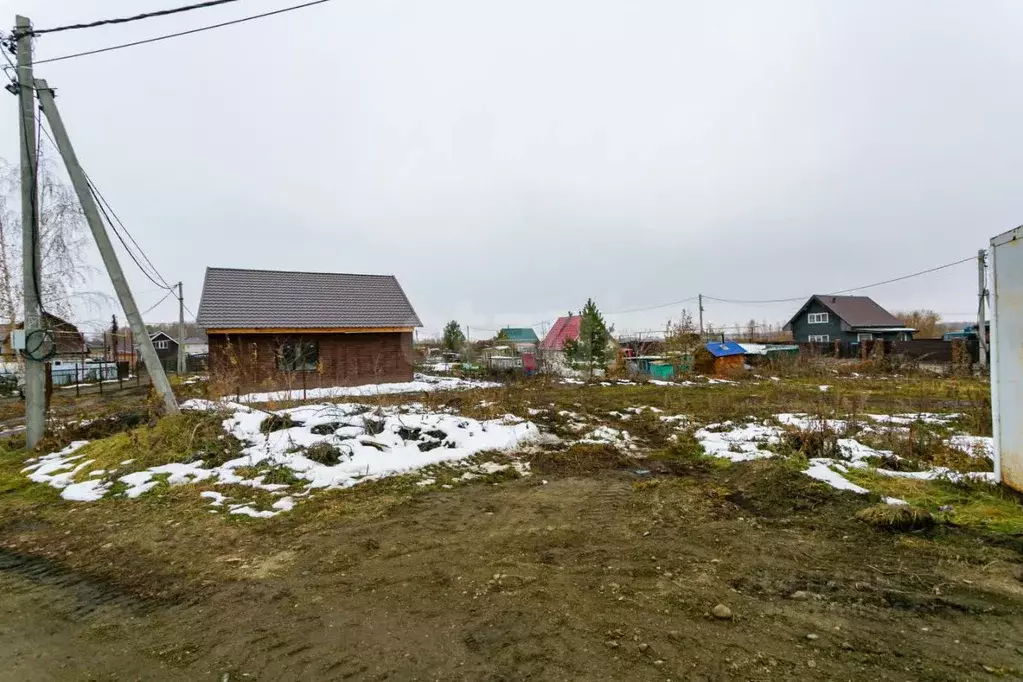 Участок в Новосибирская область, Новосибирский район, Криводановский ... - Фото 2