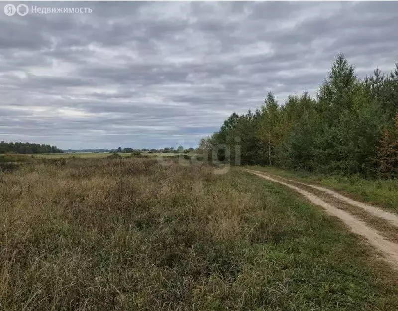 Участок в Ярославская область, Некрасовский муниципальный округ, ... - Фото 2