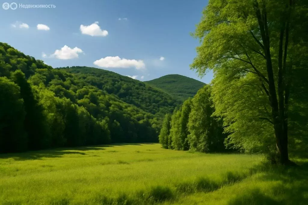 Участок в село Ольгинка, Восточная улица, 33 (100 м) - Фото 1