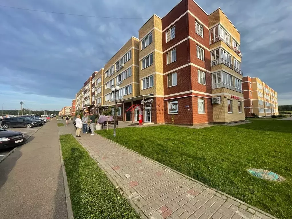 Торговая площадь в Московская область, Истра муниципальный округ, д. ... - Фото 2