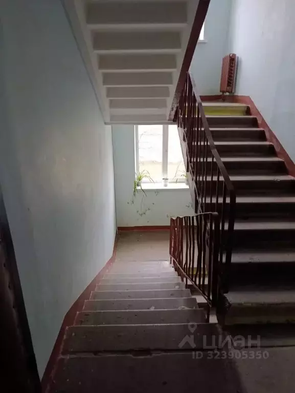 3-к кв. Санкт-Петербург пос. Шушары, Ленсоветовский тер., 12 (55.5 м) - Фото 2