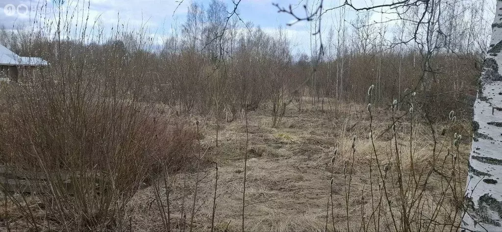 Участок в Санкт-Петербург, Снежный переулок (20 м) - Фото 0