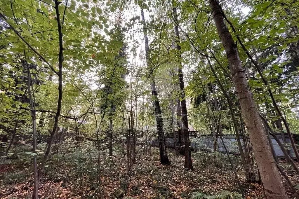 Участок в Московская область, Одинцовский городской округ, д. Жуковка  ... - Фото 2