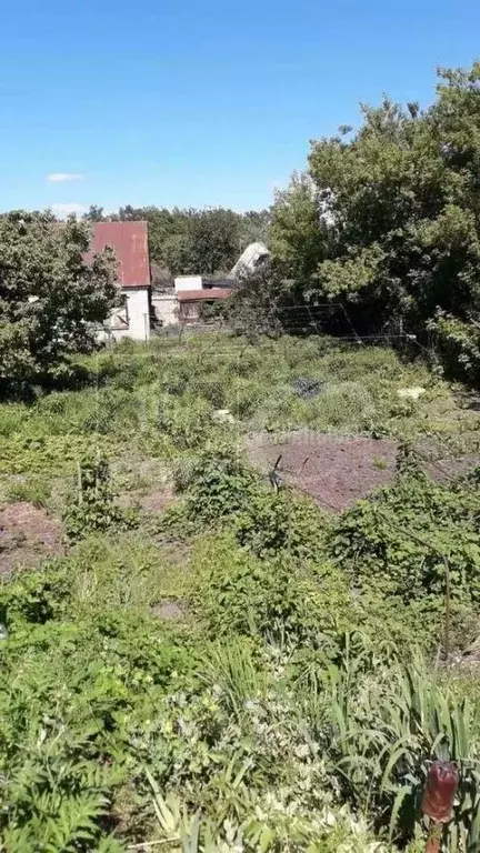 Дом в Воронежская область, Воронеж Кировец СНТ,  (48 м) - Фото 1