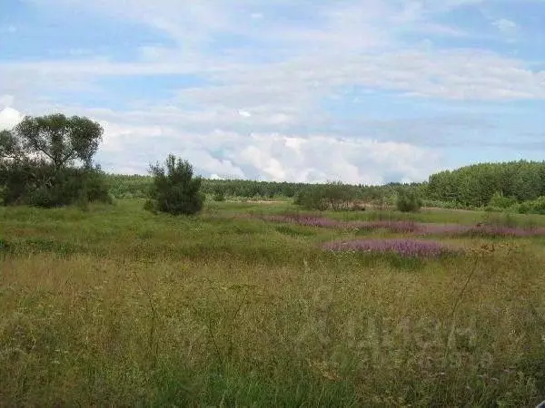 Участок в Ярославская область, Переславль-Залесский муниципальный ... - Фото 1