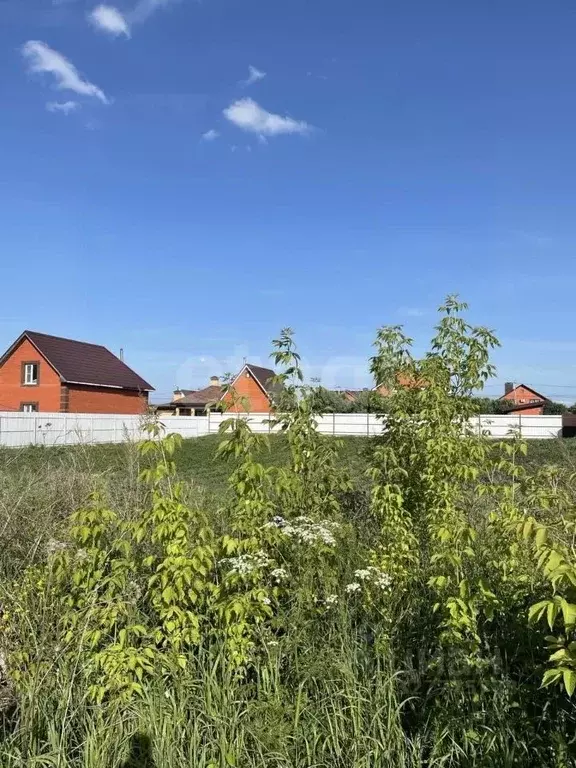 Участок в Мордовия, Саранск городской округ, Николаевка рп ул. ... - Фото 2