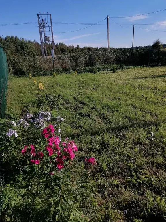 Участок в Ленинградская область, Гатчинский муниципальный округ, ... - Фото 2