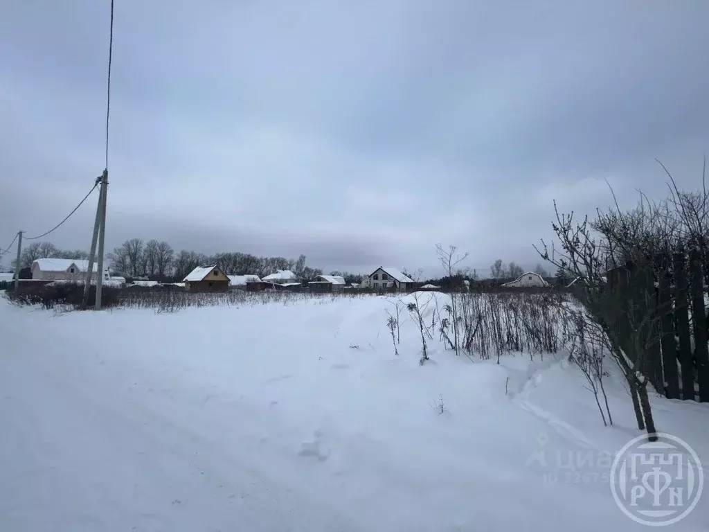 Участок в Ленинградская область, Лужский район, Скребловское с/пос, д. ... - Фото 2