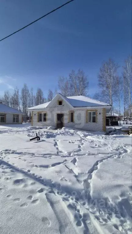Дом в Амурская область, Благовещенский район, с. Чигири ул. ... - Фото 2