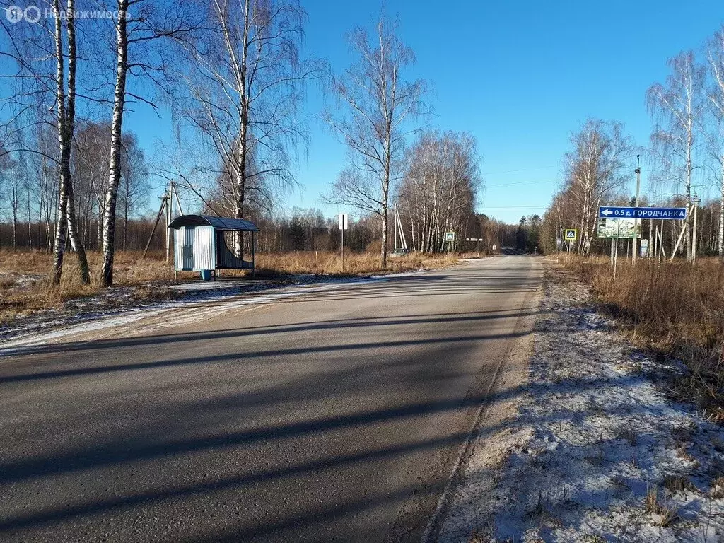 Участок в Смоленская область, Рославльский муниципальный округ, село ... - Фото 1