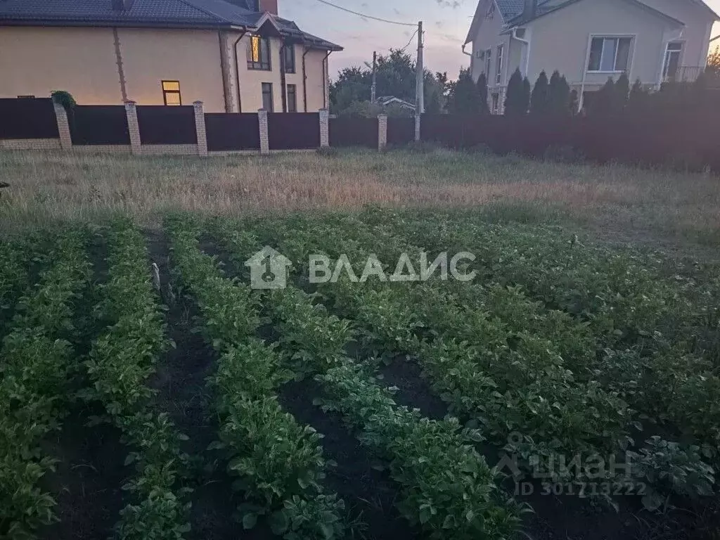 Участок в Воронежская область, Рамонский район, с. Ямное ул. Ленина, ... - Фото 0