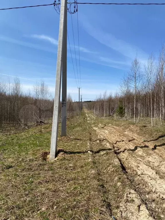 Участок 10 сот. (ИЖС) - Фото 1