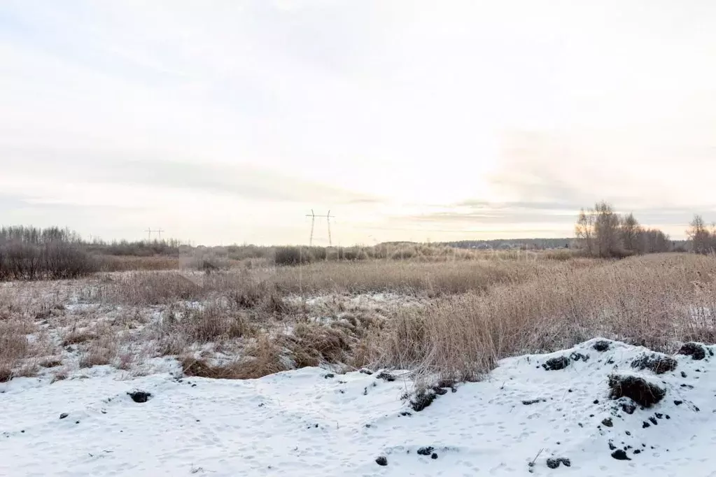 Участок в Тюменская область, Тюмень  (6.49 сот.) - Фото 0