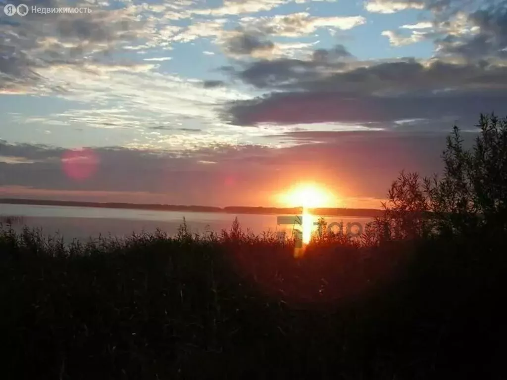 Дом в Челябинская область, Красноармейский муниципальный округ, село ... - Фото 1