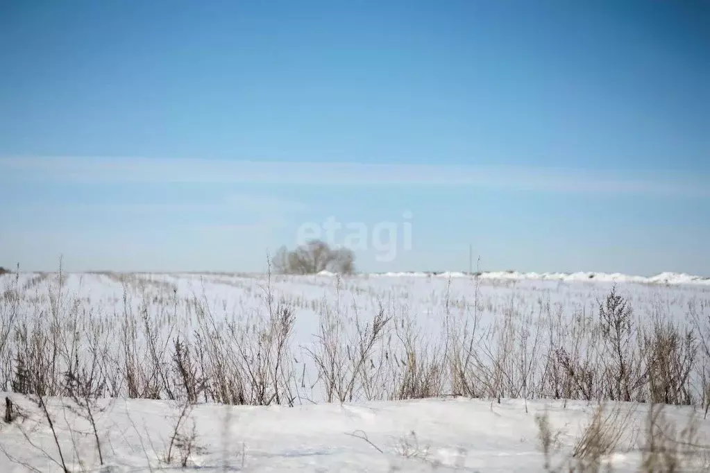 Участок в Пензенская область, с. Бессоновка  (10.0 сот.) - Фото 0