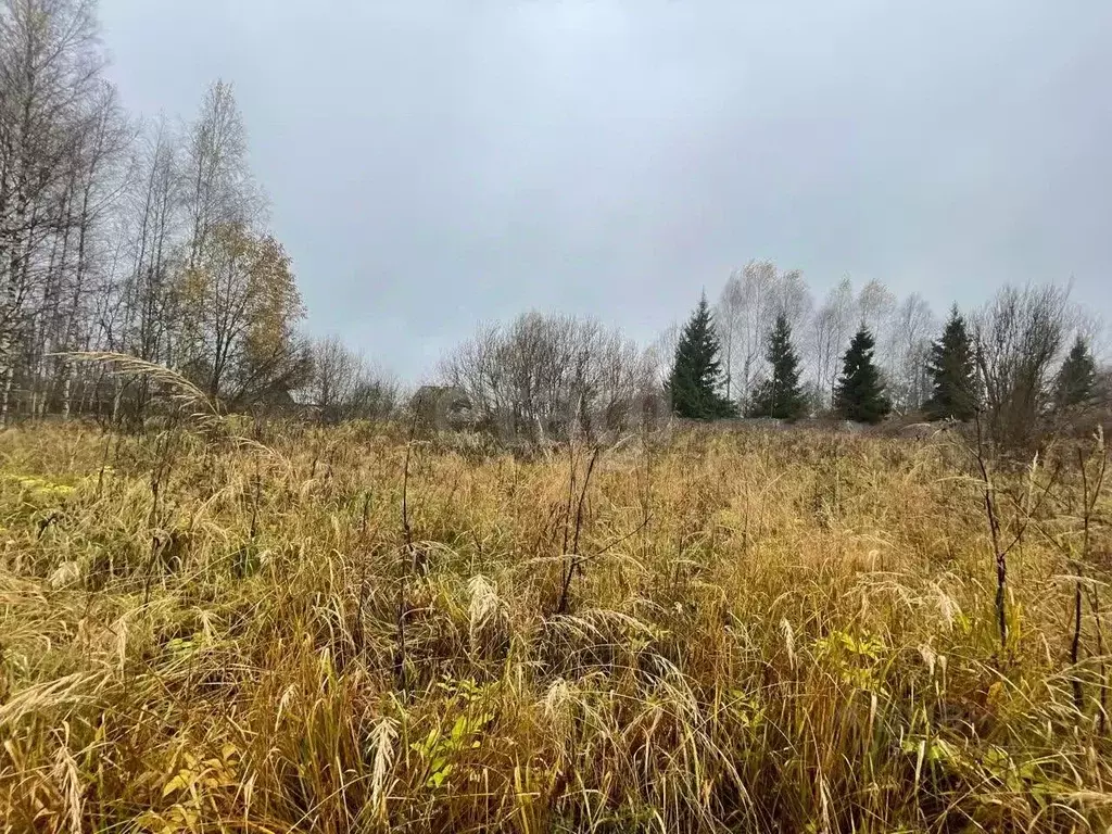 Участок в Московская область, Дмитровский муниципальный округ, д. ... - Фото 1