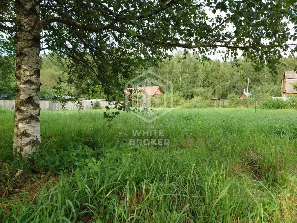 Участок в Московская область, Одинцовский городской округ, Солнечное-2 ... - Фото 1