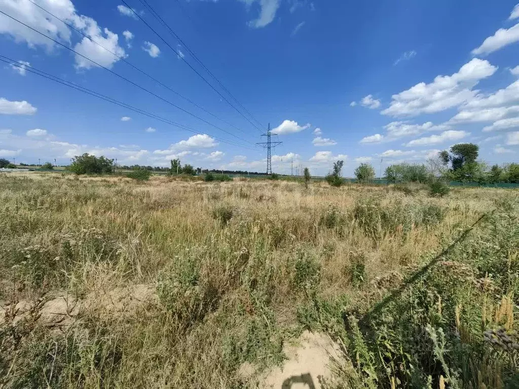Участок в Ростовская область, Аксайский район, Большелогское с/пос, ... - Фото 2