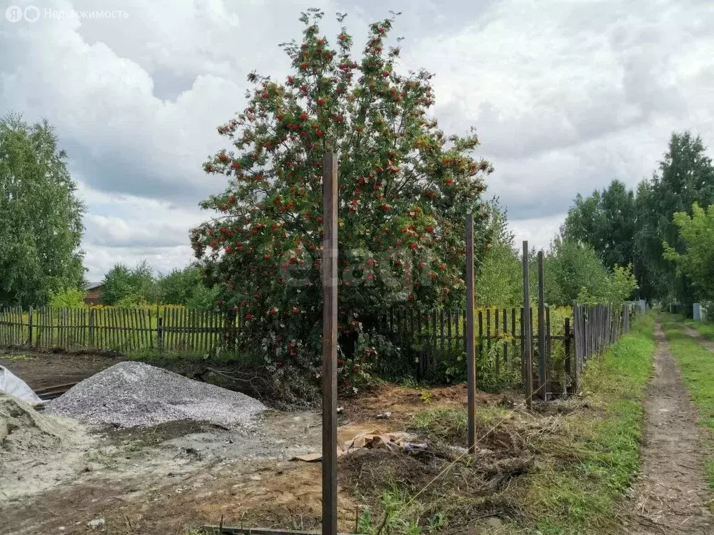 Участок в Ордынское, СНТ Рябинка, Приморская улица (6 м) - Фото 0