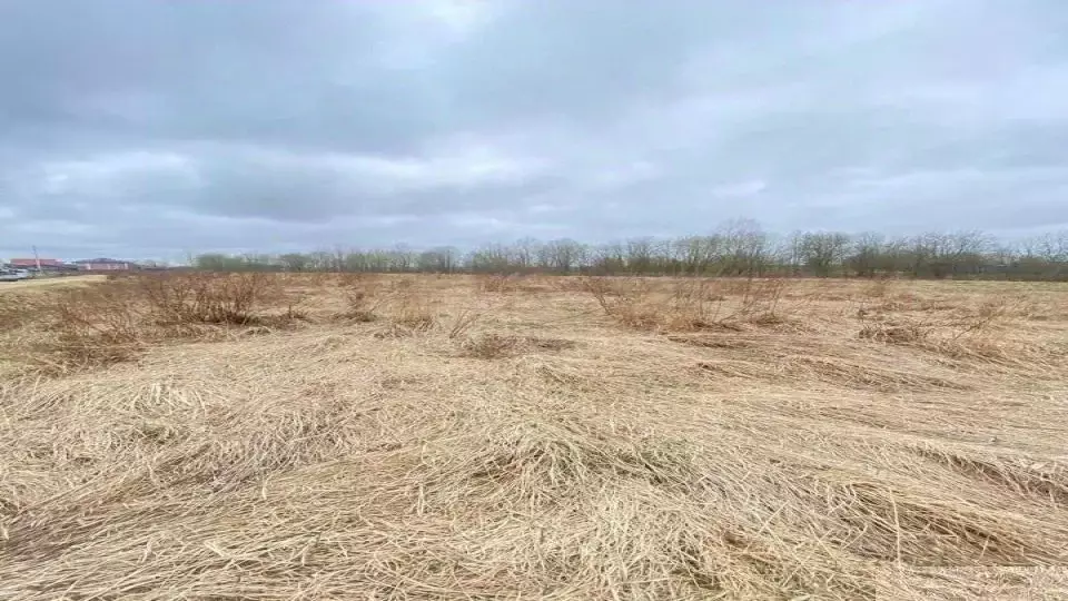 Участок в Ленинградская область, Гатчинский муниципальный округ, д. ... - Фото 1