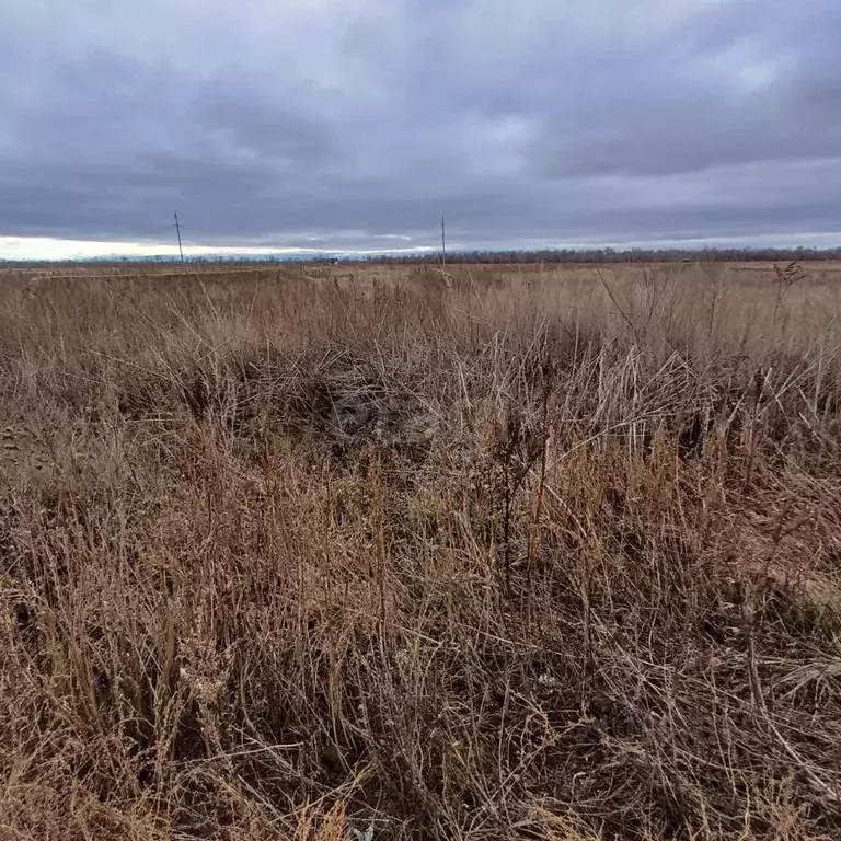 Участок в Оренбургская область, Сакмарский район, с. Беловка ул. ... - Фото 1