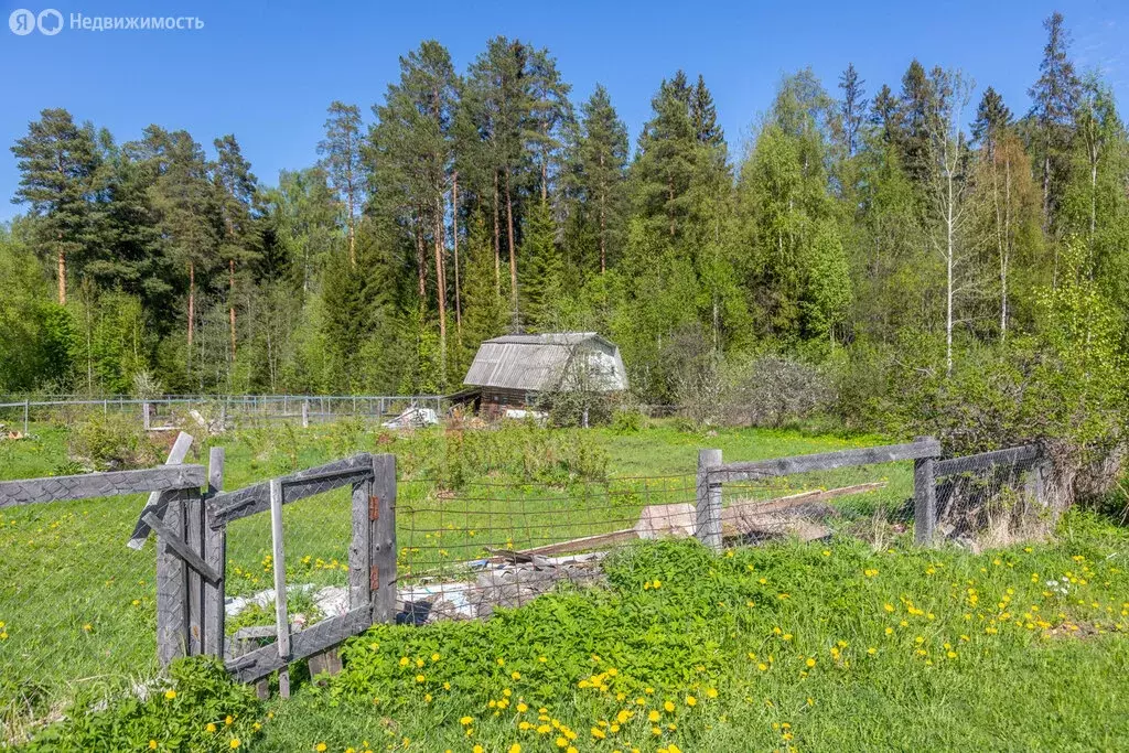 Участок в Заозерское сельское поселение, местечко Пиньгуба (14 м) - Фото 1