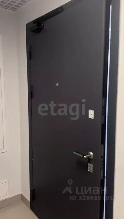 Студия Санкт-Петербург ул. Пахомовская, 18к1 (20.25 м) - Фото 2