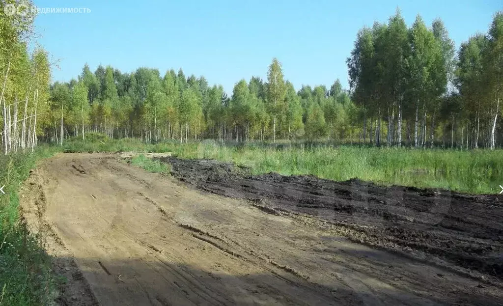 Участок в Ярославский муниципальный округ, СНТ Росток (10 м) - Фото 1