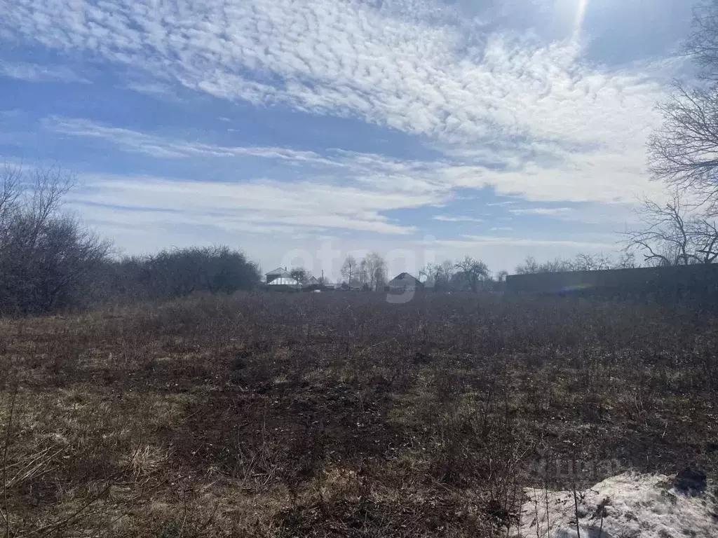 Участок в Белгородская область, Корочанский район, Погореловское ... - Фото 2