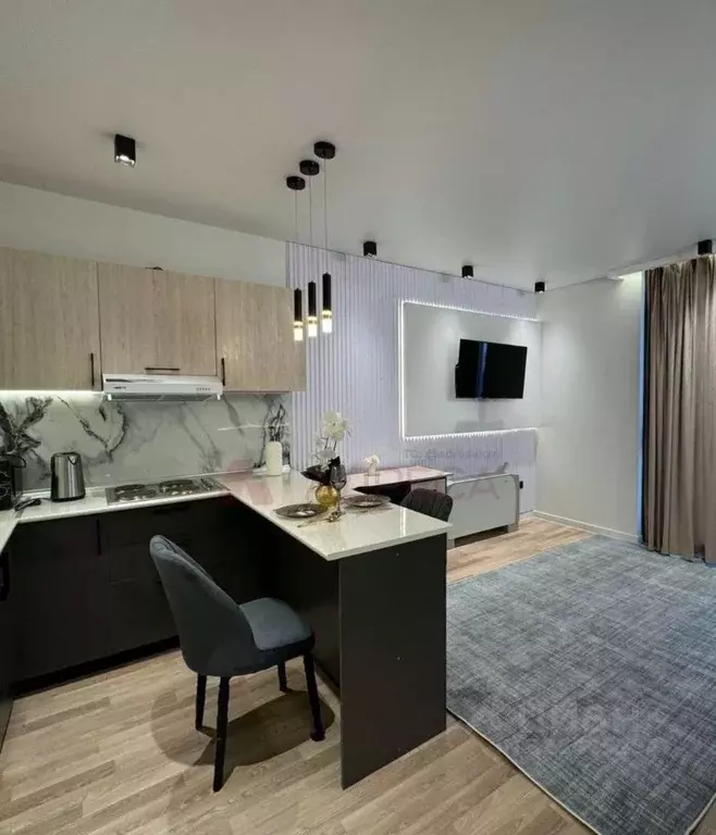 Студия Татарстан, Казань ул. Островского, 88 (30.0 м) - Фото 2