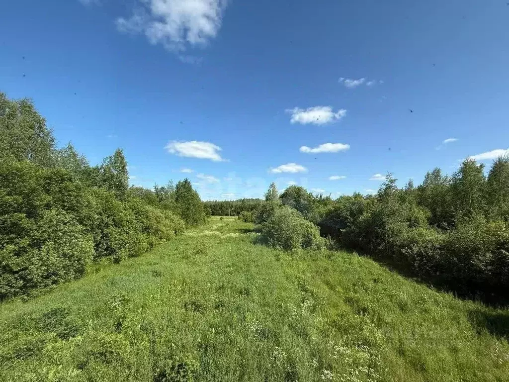 Участок в Костромская область, Костромской район, Сандогорское с/пос, ... - Фото 2
