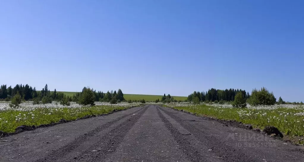 Участок в Удмуртия, Завьяловский район, д. Красный Кустарь  (8.2 сот.) - Фото 0