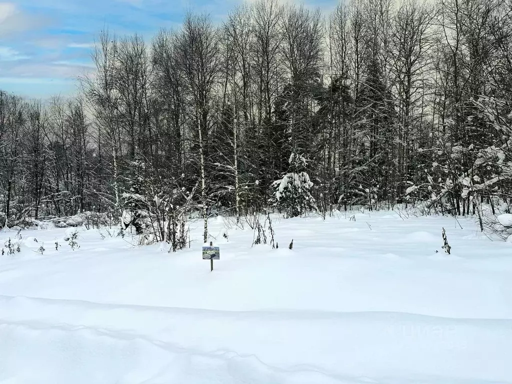 Участок в Московская область, Дмитровский муниципальный округ, Форест ... - Фото 1