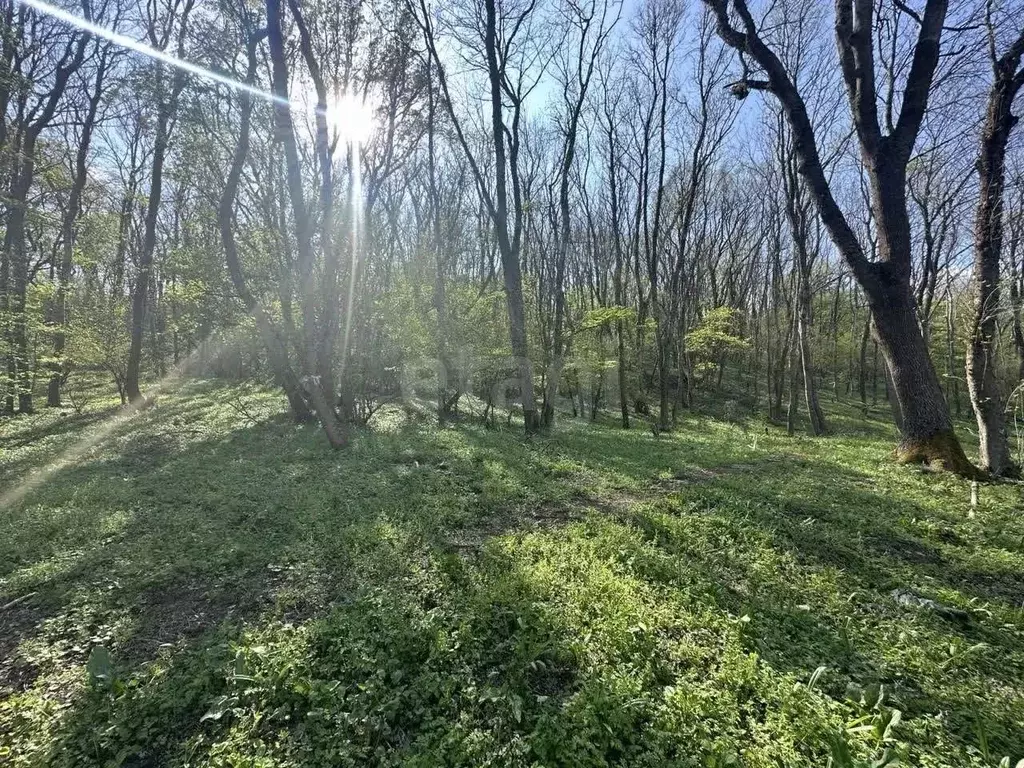 Участок в Крым, Алушта городской округ, с. Верхняя Кутузовка ул. ... - Фото 0