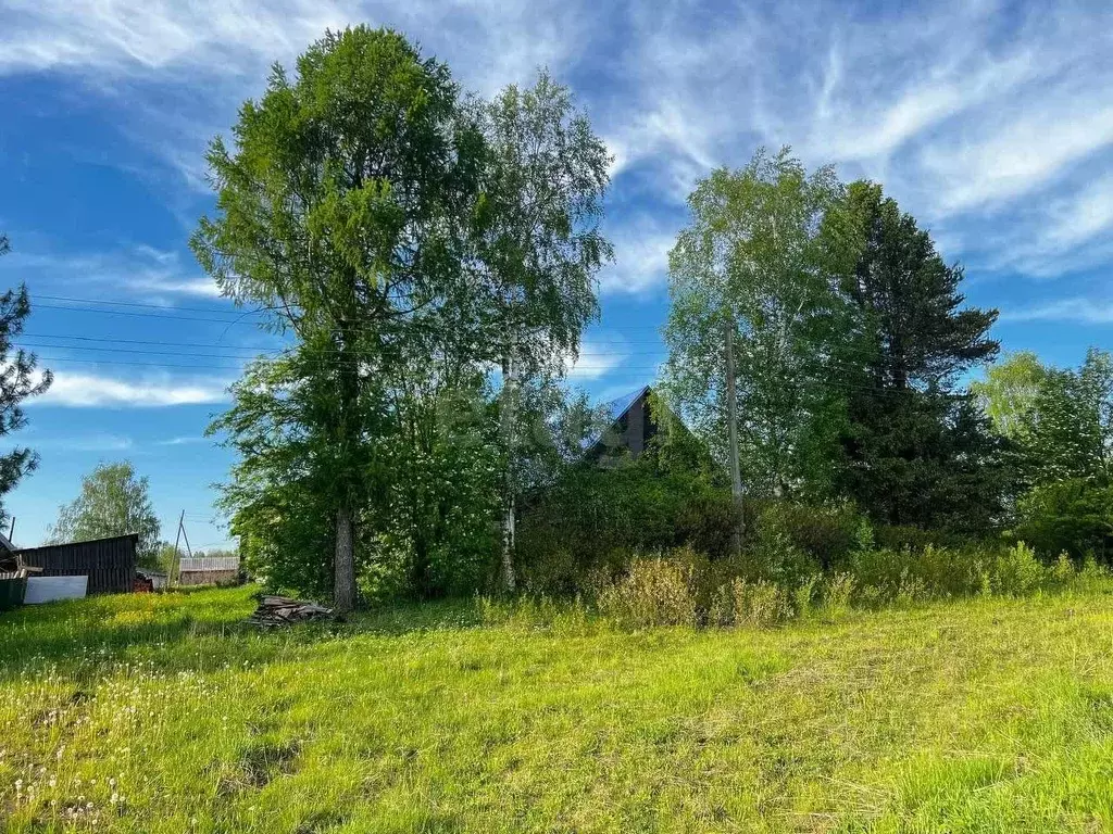 Дом в Вологодская область, с. Сямжа ул. Тимонинская, 13 (150 м) - Фото 1