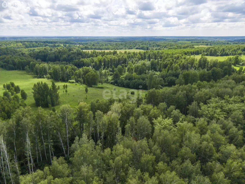 Участок в Мошковский район, село Сокур (13144.4 м) - Фото 1