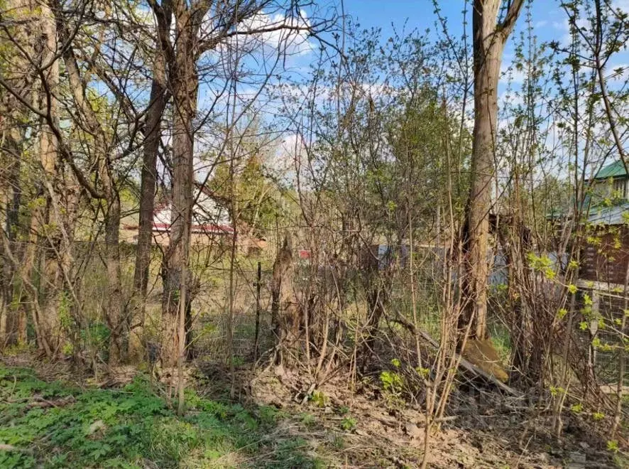 Участок в Московская область, Солнечногорск городской округ, Поварово ... - Фото 1