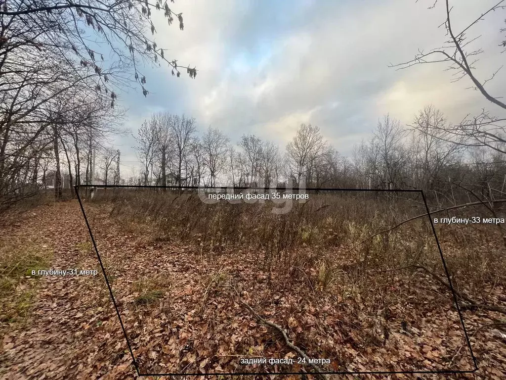 Участок в Воронежская область, Рамонский район, Айдаровское с/пос, ... - Фото 2