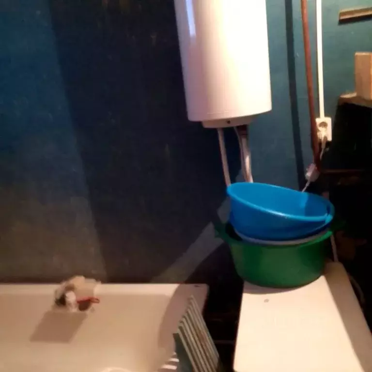 Дом в Брянская область, Выгоничский район, Орменское с/пос, с. ... - Фото 1