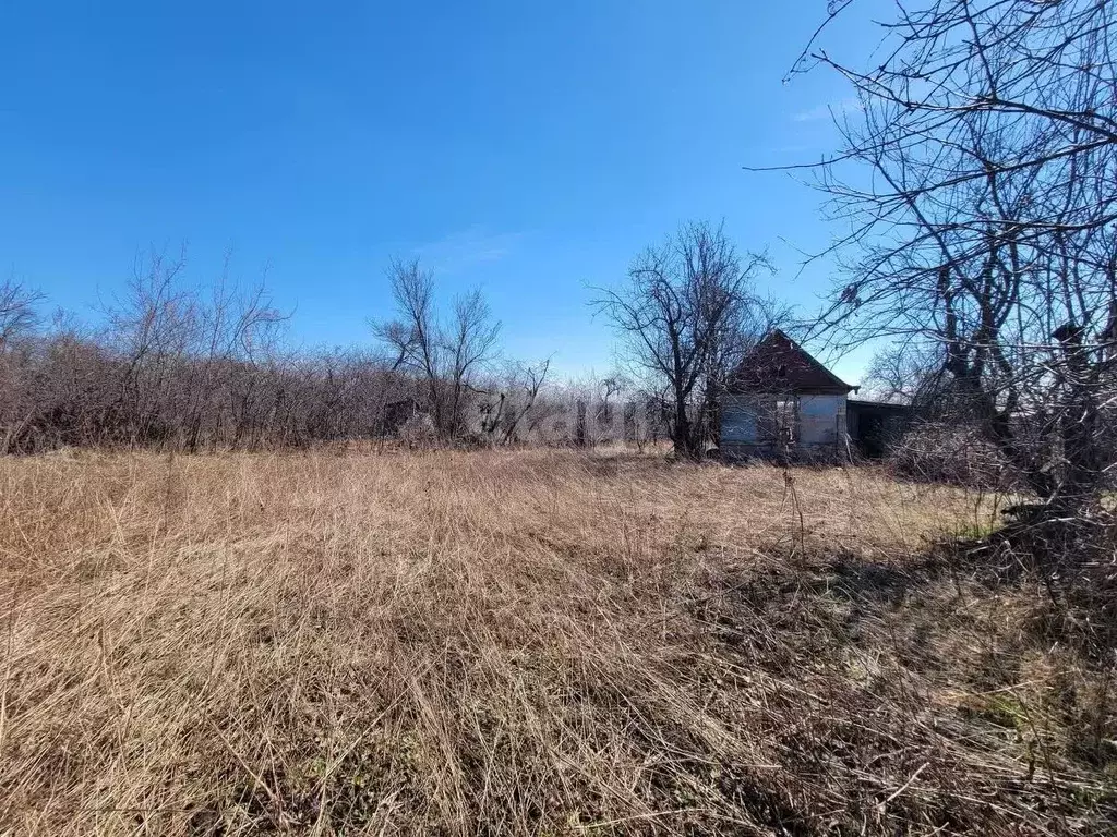 Участок в Белгородская область, Белгород Луч садовое товарищество,  ... - Фото 1